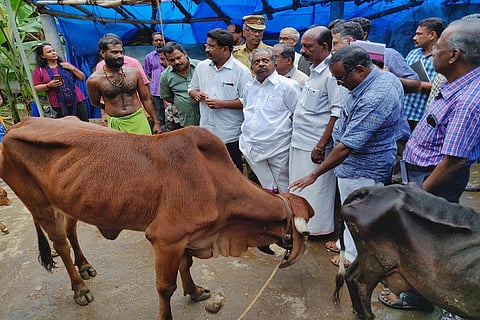 Kerala govt steps in after cows at goshala near Sree Padmanabhaswamy temple found malnourished