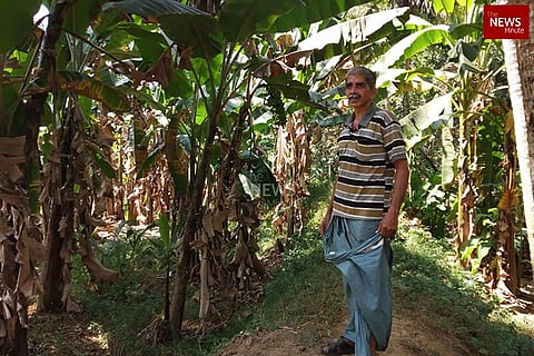 Agri-revolution: The story of Kerala's first barren-land free constituency