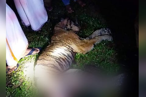 Tiger death Pathanamthitta
