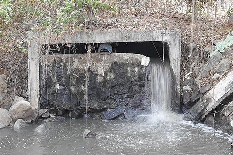 After several complaints, GHMC to finally probe pollution of Hyderabad’s Peacock lake