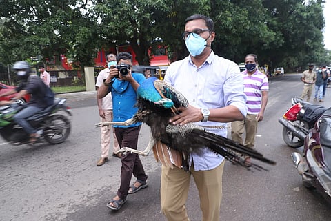 A man carrying the peacock which died after hitting a bike in which a couple was travellling, killing the husband