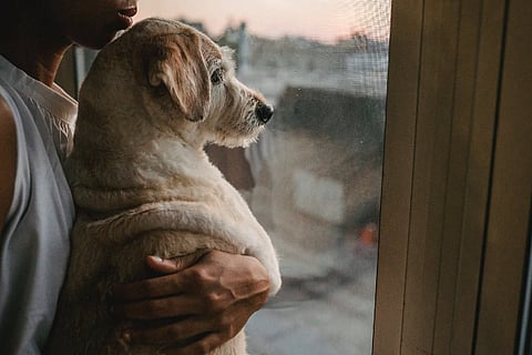 Woman holding a pet dog
