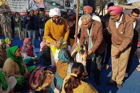 Binoy Viswam hands over pineapples