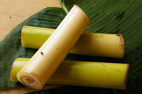 ‘Vazhaithandu juice dissolves kidney stones’, and other myths busted by a urologist