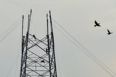 Representative image of a tower with electric wires