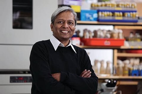 Prof K Vijay Raghavan