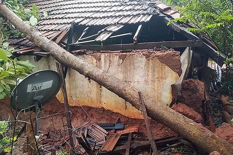 An uprooted tree falls on a rooftop in Puducherry