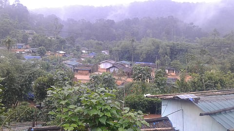 Kerala tribal community questions age-old practice of giving firewood to Forest Dept