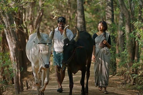 The characters walking along with two bulls
