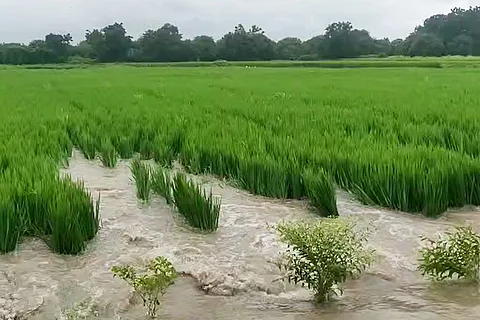 Heavy rain in northern Karnataka: Kalaburagi, Bidar, Yadgir and Raichur districts hit