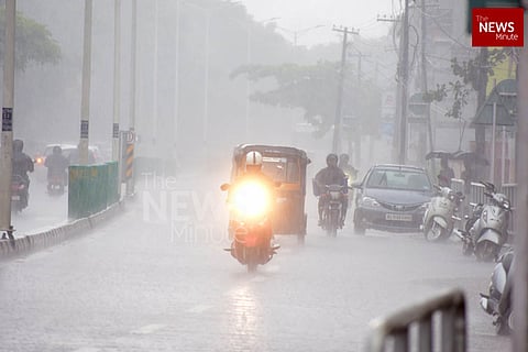 Vehicles on road during rain