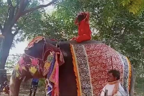 Yoga teacher Ramdev falls off an elephant and laughs, video goes viral