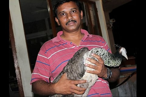 Battling poachers and wild dogs: Meet the student trying to protect wildlife at UoH