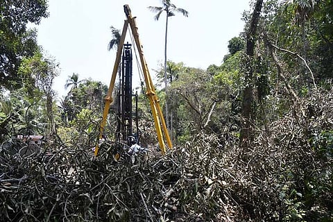 Despite protests, electricity board moves to fell trees at sacred grove in Ernakulam