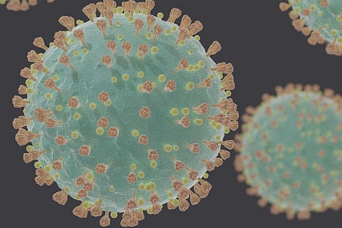 A computer generated representation of COVID-19 virions (SARS-CoV-2) under electron microscope.