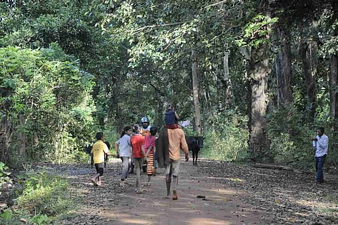Residents walking through the Shettihalli village in Shivamogga.
