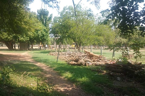 Stud farm in Shivaram Karanth Layout in Bengaluru
