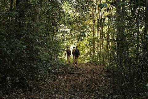 Silent Valley National Park in Kerala's Palakkad