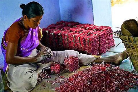 'We're facing an uncertain future': Firecracker units in TN's Sivakasi down shutters