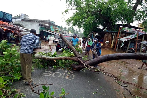 Crops, infrastructure worth crores damaged in Srikakulam by Cyclone Fani