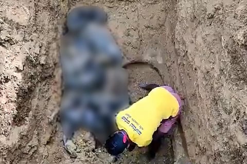 The stray dogs that were burried by miscreants