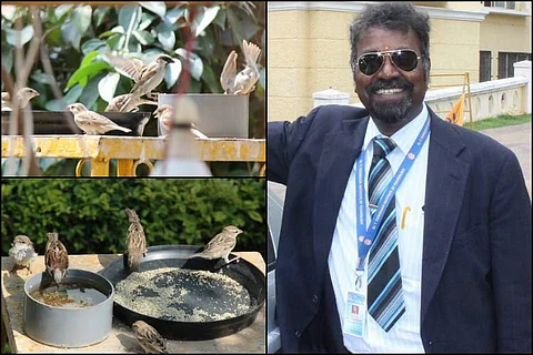 It's an unfriendly world for sparrows but this K'taka man has welcomed hundreds to his home