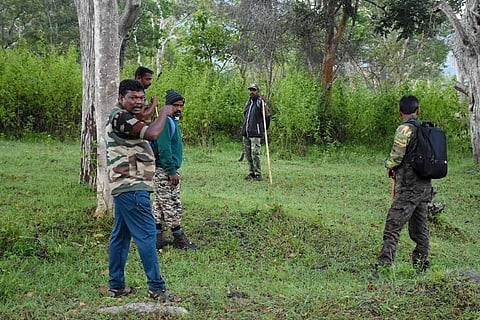 Team involved in capturing man-eating tiger Mudumalai Division Tiger 23 alive
