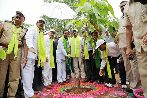 Can Telangana achieve goal of 33 percent green cover by 2019? Unlikely, say stats