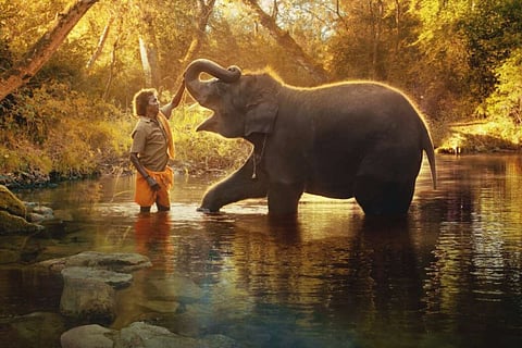 A still from the documentary Elephant Whisperers