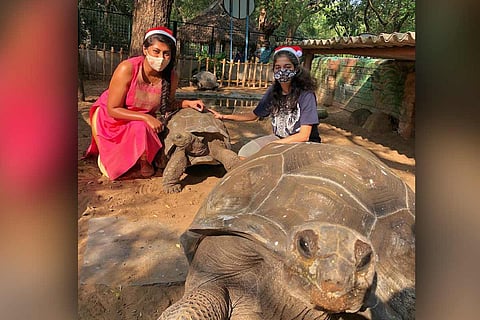 Giant tortoise missing from Madras Crocodile Bank, investigation underway