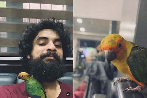 Tovino Thomas with his pet bird Mathan, who is a sun Conure