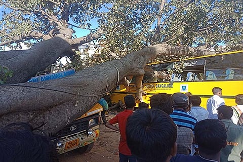 Students escape unhurt after tree falls on school bus in Bengaluru