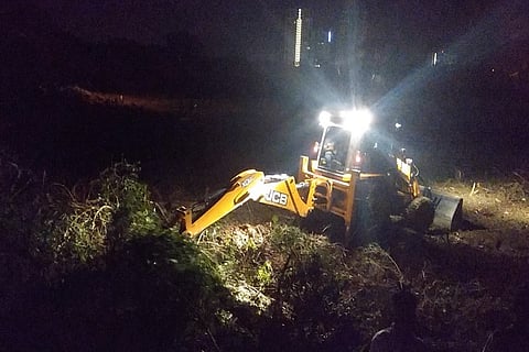 Unknown men fell hundreds of trees in B’luru’s Whitefield, residents stop encroachment