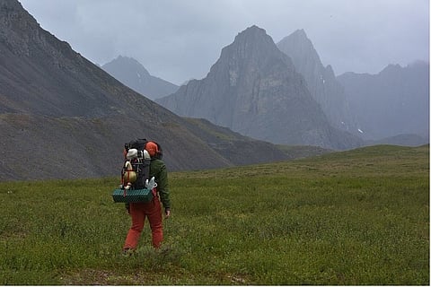 Theni forest fire aftermath: experts caution against non involvement of locals, disregard for wildlife