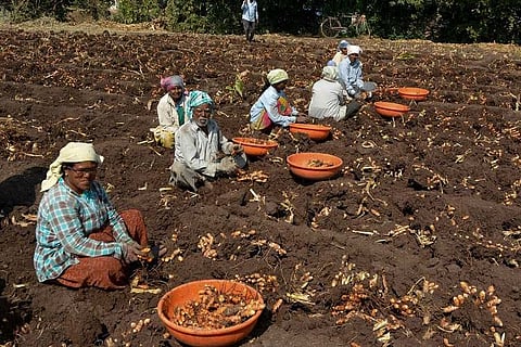 TN govt waives cold storage charges, market cess for farmers until April 30