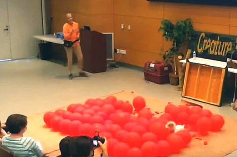 Watch Twinkie the dog pop balloons, break a Guinness World Record and have a blast