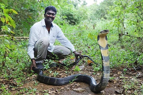 Kerala snake catcher Vava Suresh