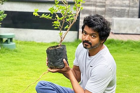 Vijay