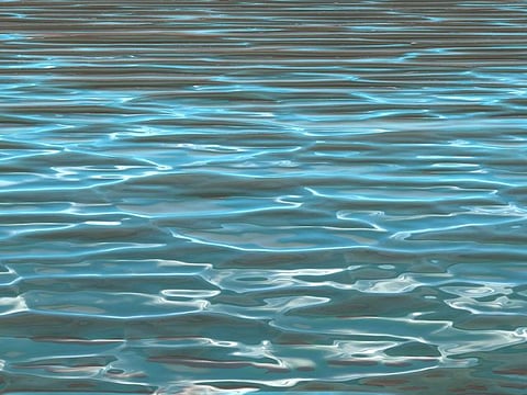 Body of 17-year-old girl found in lake in Lalbagh