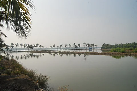 A waterbody in Kerala