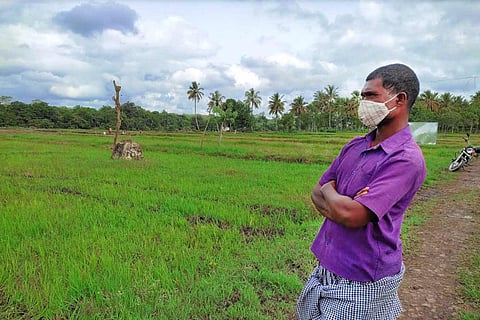 Ayyappan, a tribal farmer in Kerala’s Wayanad, in his field