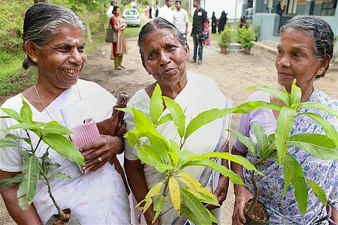 In Wayanad district, first-time voters walked away with a sapling