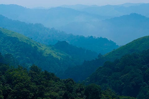 EIA 2020 draft emails scrap EIA 2020