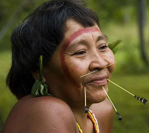 The lands of the Yanomami tribe in Brazil are in danger of being handed over to mining firms