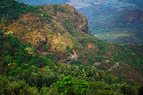 The winding mountain roads on the way to Yercaud