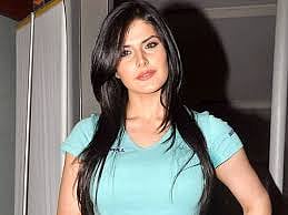 Zarine Khan all set for Telugu debut
