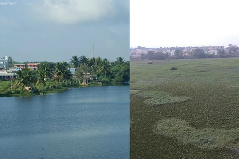 Tired of government apathy, Bengaluru residents pitch in to clean Alahalli lake