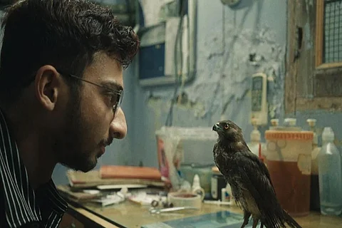 A still from All That Breathes