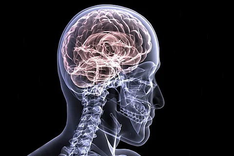Can a healthy lifestyle reduce risk of Alzheimer’s disease? Yes, say new studies