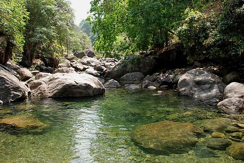 A cosy nook with crystal springs and limpid pools in Amarambalam forest